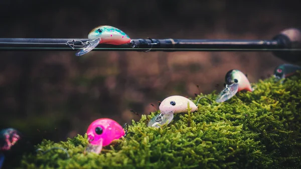 Minsk Region Belarus February 2020 Strikepro Brand Fishing Lures — Stockfoto