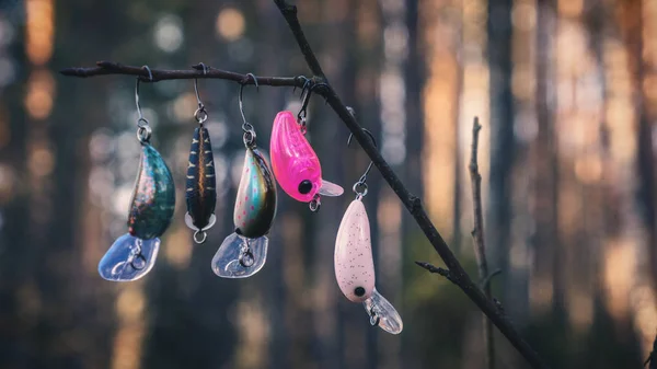 Minsk Region Belarus February 2020 Strikepro Brand Fishing Lures — ストック写真