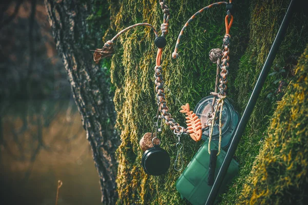 苔を背景にした漁具 天覧釣り — ストック写真
