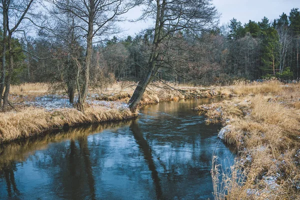 Une Petite Rivière Coule Travers Une Vallée Forestière — Photo