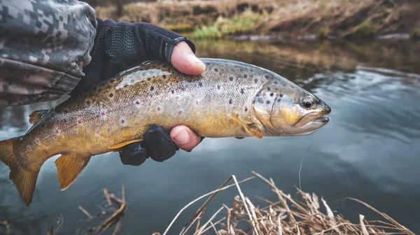 Bäckröding Handen Fiskare — Stockfoto