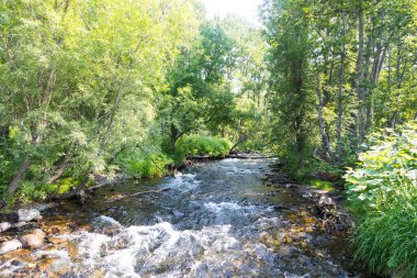 Dağ Akıntısı, Kamçatka Yarımadası, Rusya.