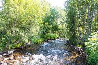 Dağ Akıntısı, Kamçatka Yarımadası, Rusya.