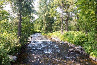 Dağ Akıntısı, Kamçatka Yarımadası, Rusya.