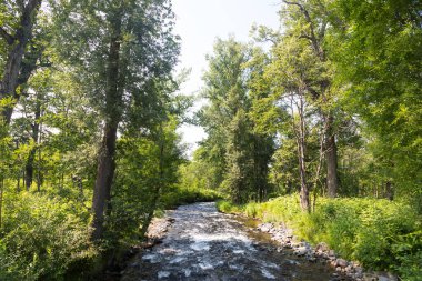 Dağ Akıntısı, Kamçatka Yarımadası, Rusya.