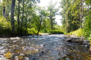 Dağ Akıntısı, Kamçatka Yarımadası, Rusya.