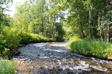 Dağ Akıntısı, Kamçatka Yarımadası, Rusya.
