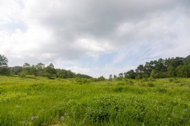 Vachkazhets sıradağları, Kamçatka Yarımadası, Rusya. Bunlar, birkaç parçaya ayrılan güçlü bir patlamanın sonucu olarak bölünmüş antik bir volkanın kalıntıları. Bölgesel öneme sahip doğal bir anıt