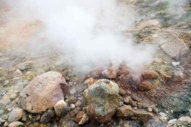 Küçük Gayzerler Vadisi, Kamçatka Yarımadası, Rusya. Bu eşsiz aktif fümerol alanı, sıcak gazlar soğuk bir akarsuyun içinden geçer, onu ısıtır ve fışkıran bir etki yaratır..