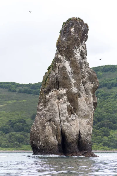 Three Brothers Kamchatka Peninsula Russia Grupo Tres Rocas Forma Pilar — Foto de Stock