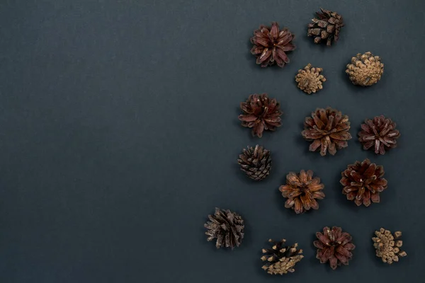 Pine cones. Natural materials for crafts. Top view with copy space, flat lay.