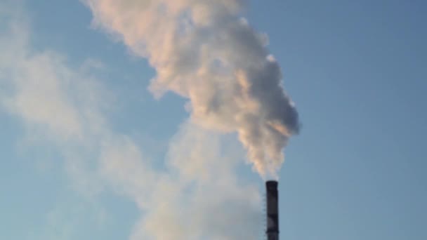 Mittlere Aufnahme eines Rauchschornsteins mit einer dicken Rauchfahne. schöner blauer Himmel. — Stockvideo
