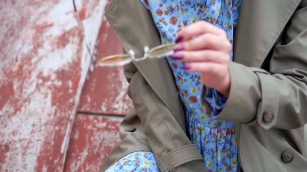 Stile di vita di moda ritratto bella donna negli occhiali da sole in posa nel tetto autunnale della città. street fashion — Video Stock