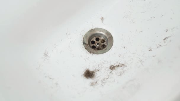 Короткі чорні обрізки волосся падають в суху порожню раковину невідомий чоловік Обрізка волосся бородою над ізольованим волоссям, що падає в суху раковину для ванної кімнати . — стокове відео