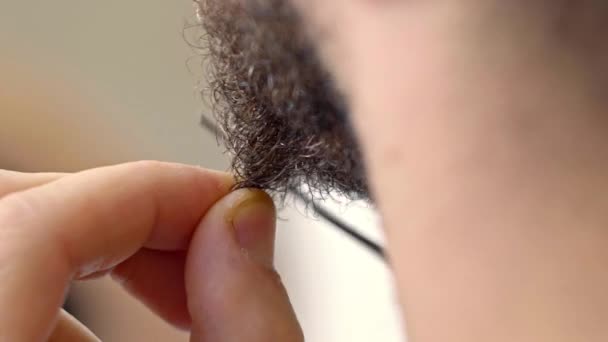 Couper la barbe avec de petits ciseaux. Macro .