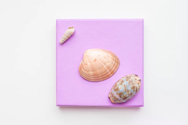 Various shells of marine mollusks, starfish, corals. Marine decorative composition on pastel pink background. Flat lay, top view mockup