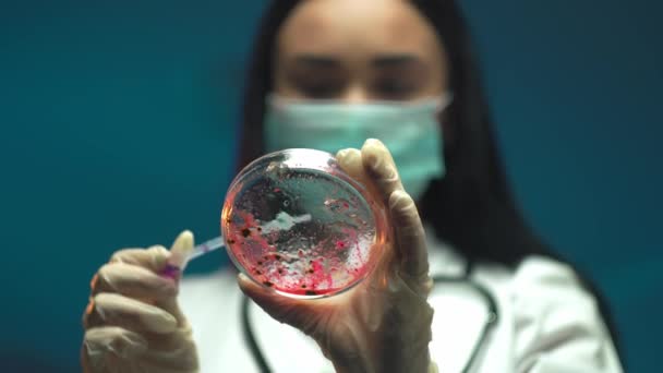 Kvinnliga medicinska forskare lägga släppa en färgad vätska till petriskål — Stockvideo