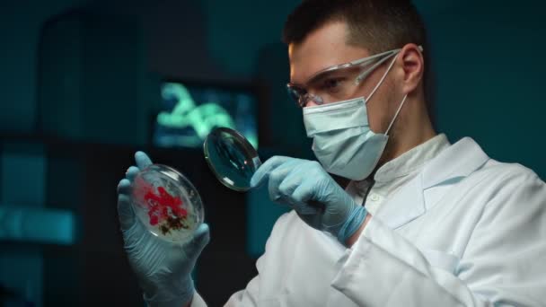 Jovem químico do sexo masculino que trabalha no laboratório — Vídeo de Stock