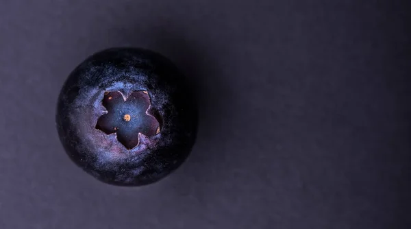 Pojedynczy Blueberry Ciemnoszarym Tle Góry Vie — Zdjęcie stockowe