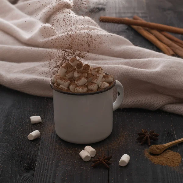 Cup Cacao Marshmallow Cinnamon — Stock Photo, Image