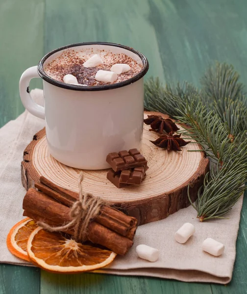 Kopp Cacao Med Marshmallow Och Kanel — Stockfoto
