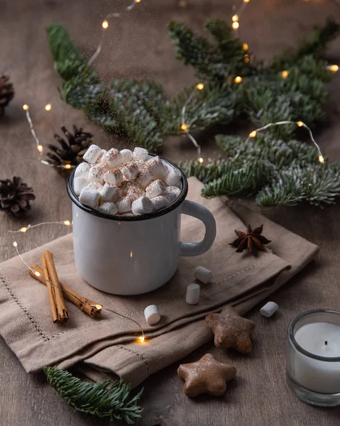 Cup of cocoa and marshmallow with gingerbread and cinnamon — Stock Photo, Image