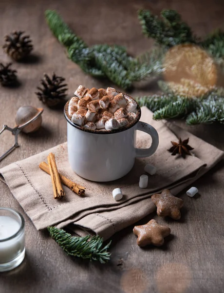 Cup of cocoa and marshmallow with gingerbread and cinnamon — Stock Photo, Image