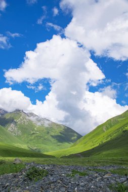 Georgia 'daki yaz vadisinin güzel manzarası.