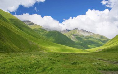 Georgia 'daki yaz vadisinin güzel manzarası.