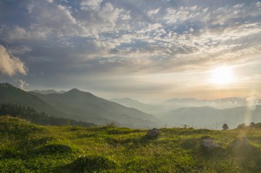 Georgia 'daki yaz vadisinin güzel manzarası.