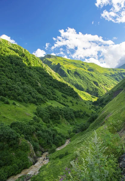 Beau paysage de vallée de montagne d'été en Géorgie — Photo