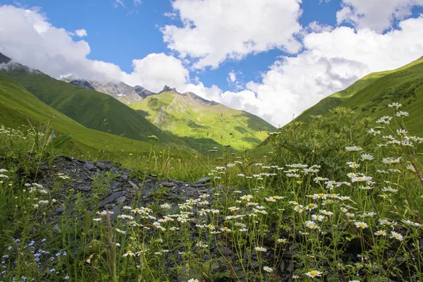 Gyönyörű táj nyári hegyi völgy Grúzia — Stock Fotó