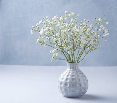 Gri bir vazoda, beyaz bir gipela demeti var.