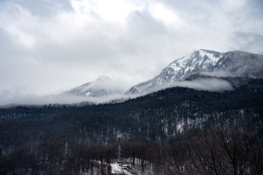 Soçi 'deki Rosa Khutor dağ kayak merkezi. Bulutlu, güneşli bir kış günü
