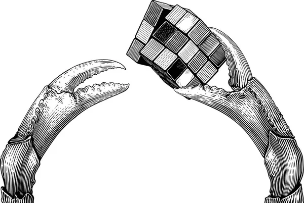 Claws håller en kub pussel — Stock vektor
