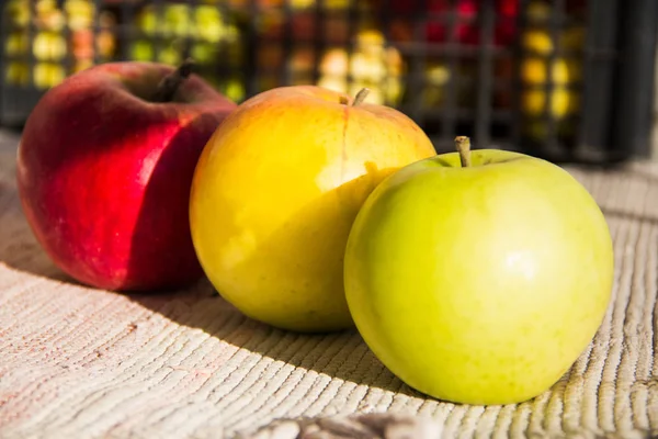 Três belas maçãs rústicas naturais . — Fotografia de Stock