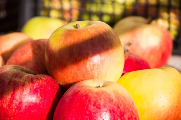 Les pommes naturelles sont à côté de la caisse . — Photo