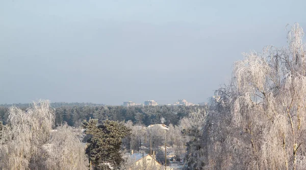 Vinter by landskab - Stock-foto