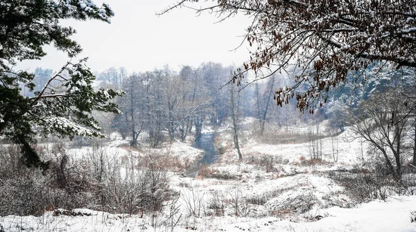 Bela paisagem de inverno em fevereiro . — Fotografia de Stock
