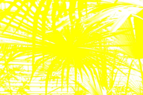 Sarı Işık Arka Planı Soyut Arkaplan Sarı Beyaz Çizgilerin Resmi — Stok fotoğraf