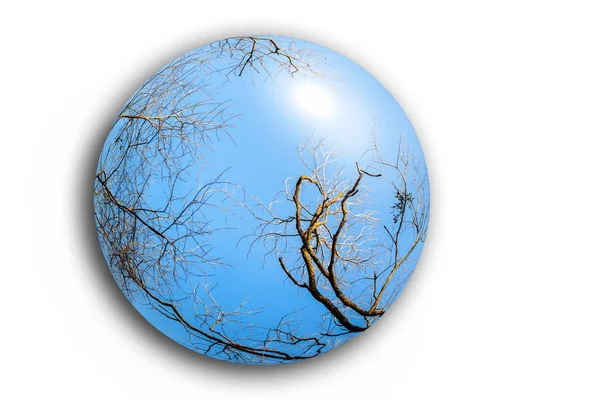 Ball Mit Kahlen Winterbäumen Auf Weißem Hintergrund Ökologisches Konzept — Stockfoto