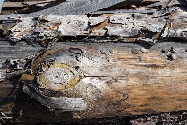 Rough Texture Tree Bark Wood Processing Horizontal Frame — Stock Photo, Image