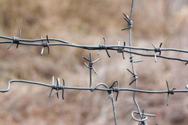 Dikenli teller yakın plan. Yatay çerçeve.