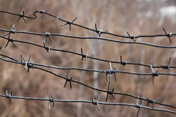 Barbed Wire Close Bevindt Zich Een Rij Horizontaal Kader Rechtenvrije Stockfoto's