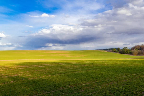 Cielo Azul Hermosas Nubes Sobre Campo Verde Imagen de stock