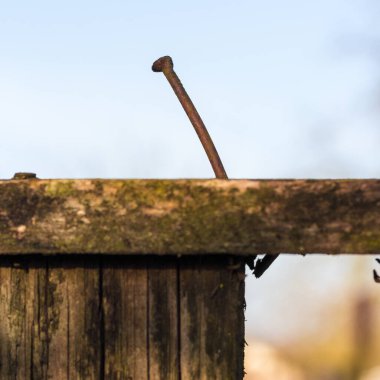 Çitten eski bir çivi fırladı..