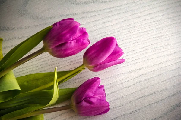 Рожеві Тюльпани Лежать Столі — стокове фото