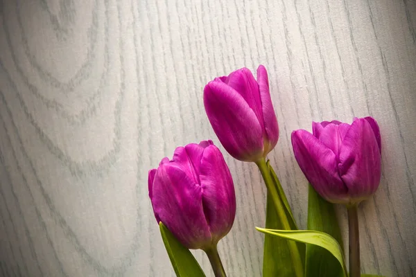 Three Pink Tulips Lie Table — Stock Photo, Image