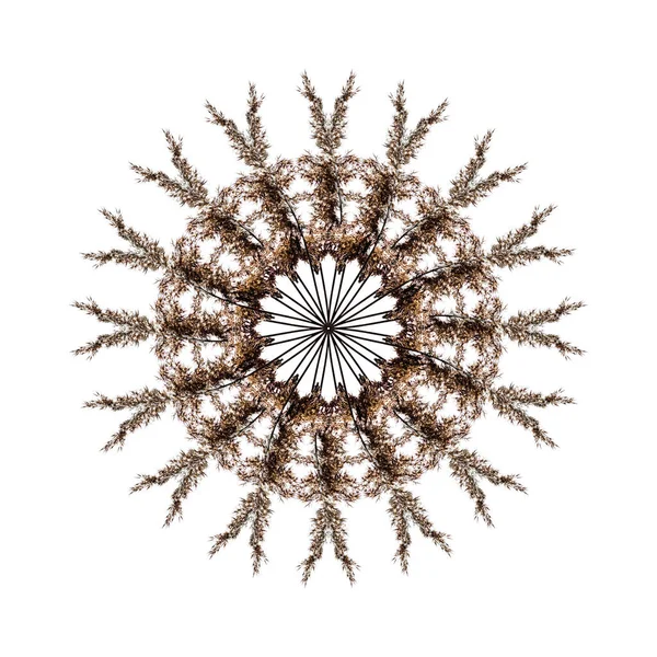 Sprig Mandala White Background — Stock Photo, Image