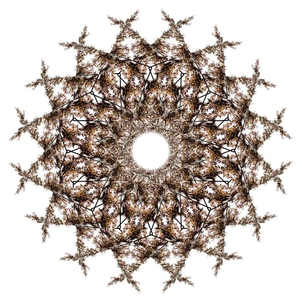 Sprig Mandala Sur Fond Blanc — Photo